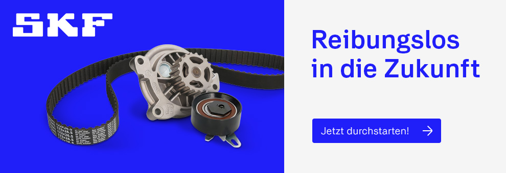 SKF Ersatzteile
